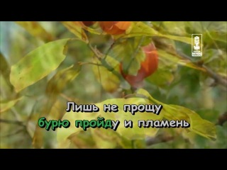 Валентина Толкунова - Я Не Могу Иначе караоке